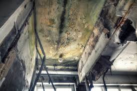 Best HVAC Mold Inspection and Cleaning in Akron, NY